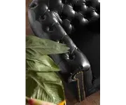 Chesterfield Bis: Křeslo 1M Antik Black s puncy